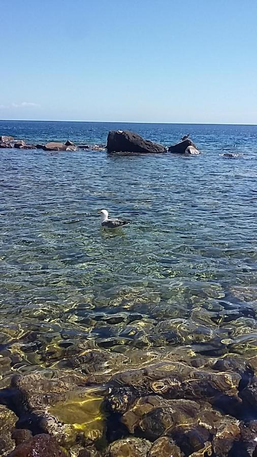 Capraia Per Te Экстерьер фото
